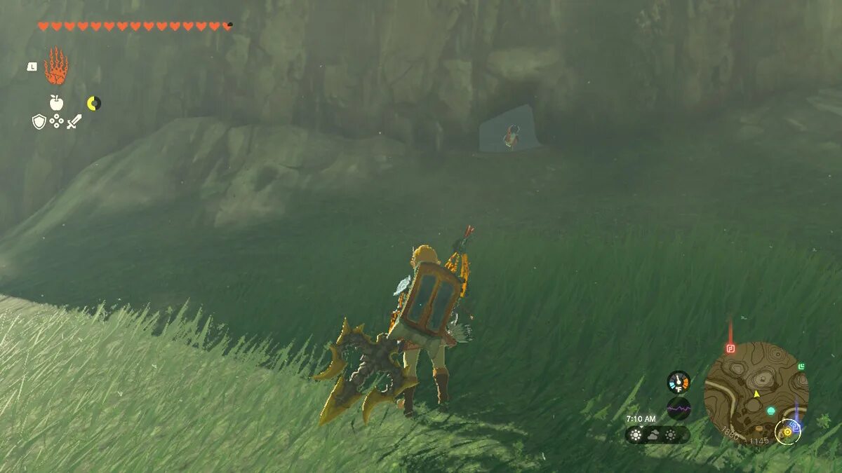 Zelda tears of the kingdom настройки. Зельда tears of Kingdom. Kukko Zelda. Zelda totk. Zelda tears of the Kingdom.