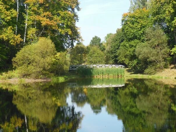 Тургеневский желтый. Усадьба спасское лутовиново осенью. Спасское-лутовиново усадьба тургенева. Спасское-лутовиново усадьба тургенева парк. Парк в усадьбе спасское лутовиново.