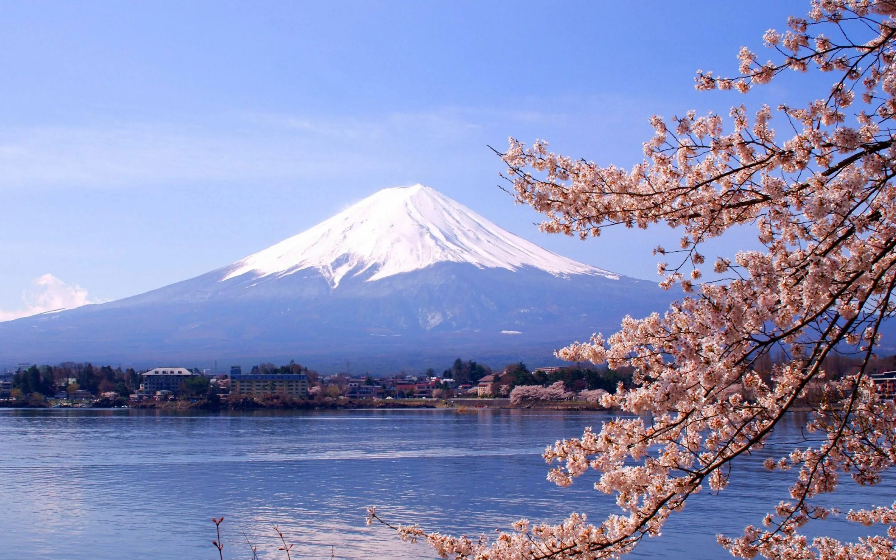 Mt fuji