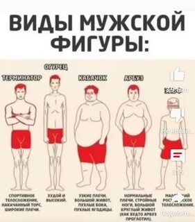 Какое бывает телосложение