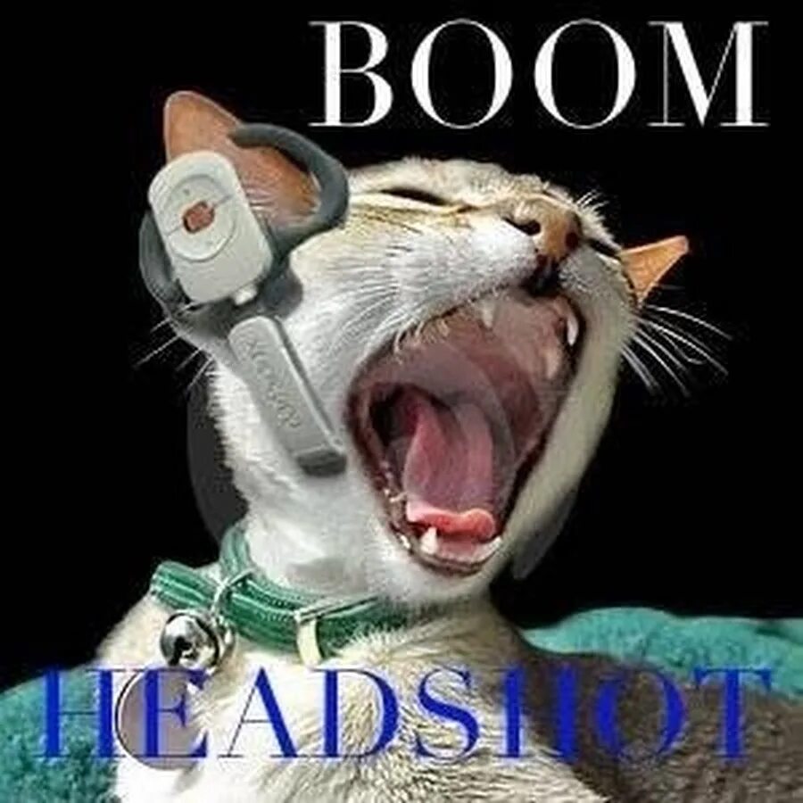 Boom meme. Кот ХЕДШОТ. Буум кот. ХЕДШОТ Мем. Boom headshot Мем.