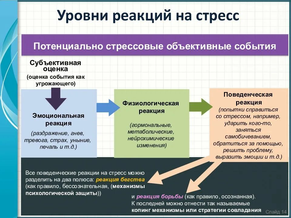 Реакции на различные изменения на. Типы проявления стрессовой реакции. Реакции организма на стрессовые ситуации. Реакция на стресс. Стрессовая реакция физиологическая.