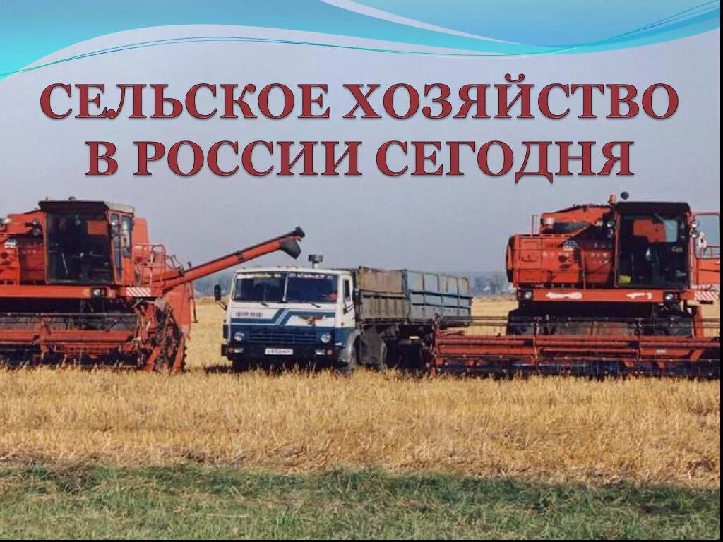Программа сельхоз труд