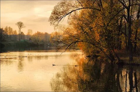 Природа тютчева