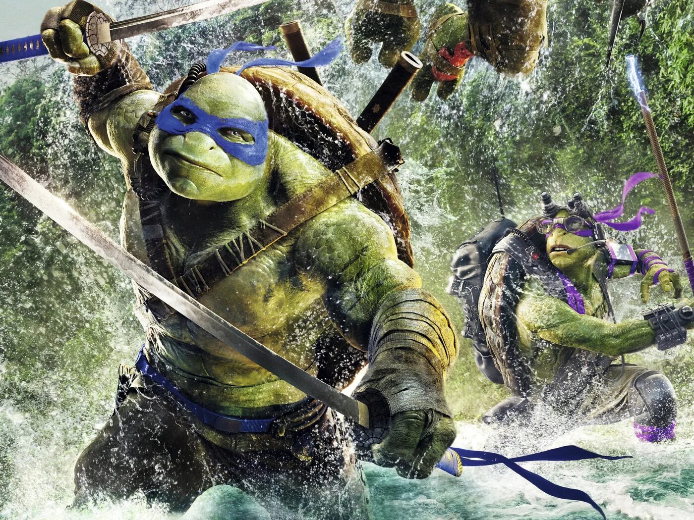 Turtles 2 in 1. Turtles 2 in 1