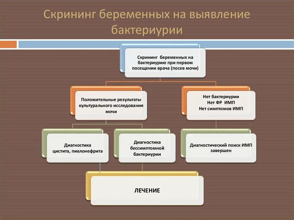 Типы скринингов. Скрининговые обследования беременных. скрининг беременных презентация. диагностика беременности презентация. скрининги при беременности презентация.