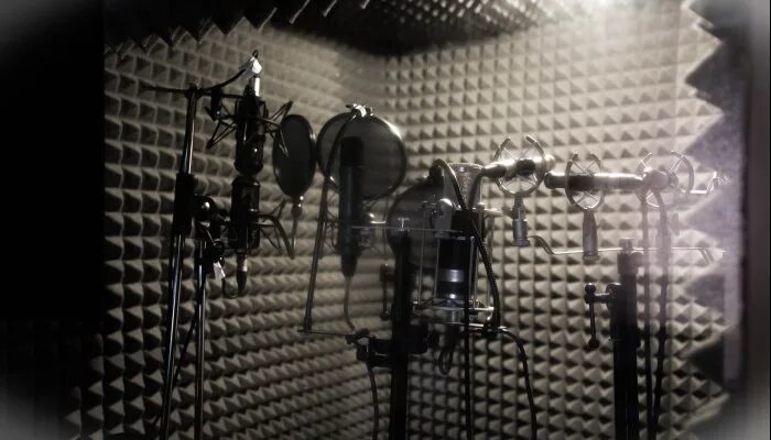 Студия звукозаписи. Профессиональная студия звукозаписи. Кабинка для записи вокала. Звукозапись кабинка для микрофон.