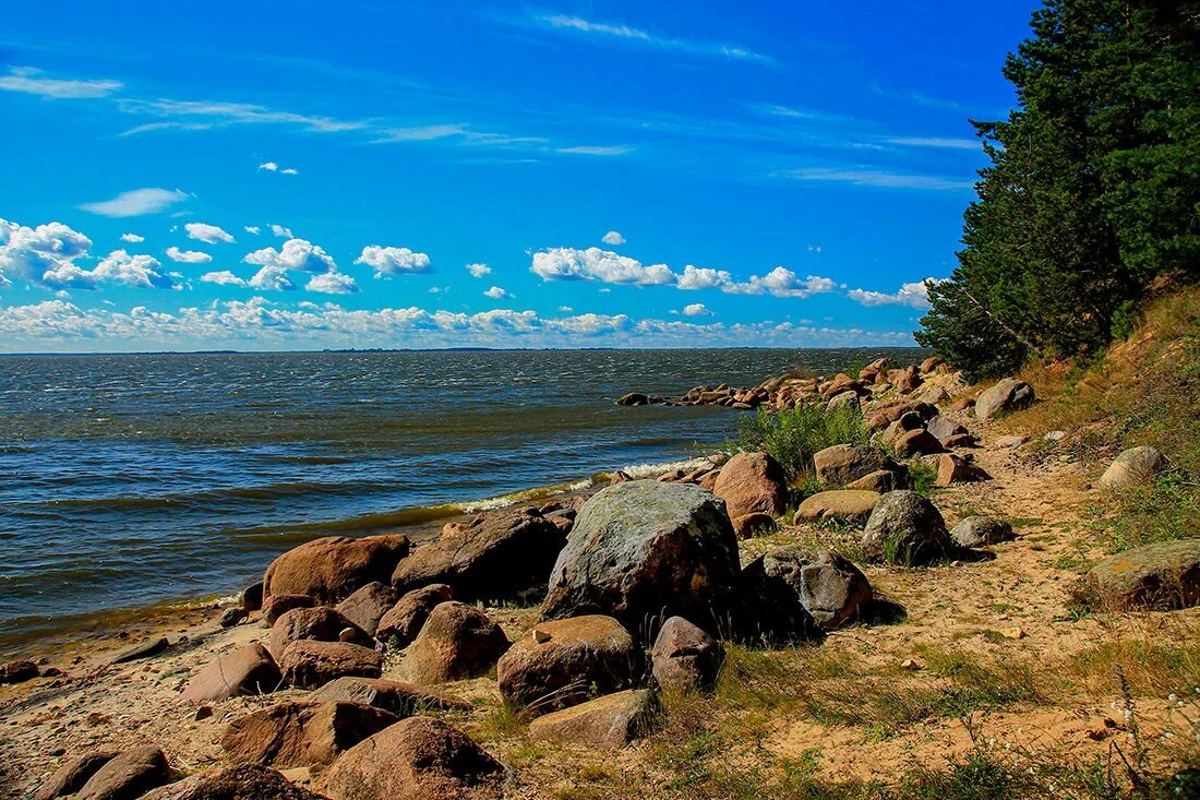 чудское с псковским озеро. псковско-чудское озеро. есть псковское озеро. чудское озеро. псковское озеро остров талабск.