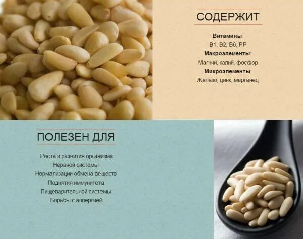 Кедровые орешки витамины. Кедровые орешки витамины. Сибирский кедр орешки. Забайкальский продукт кедровые орехи. Кедровые орешки витамины.