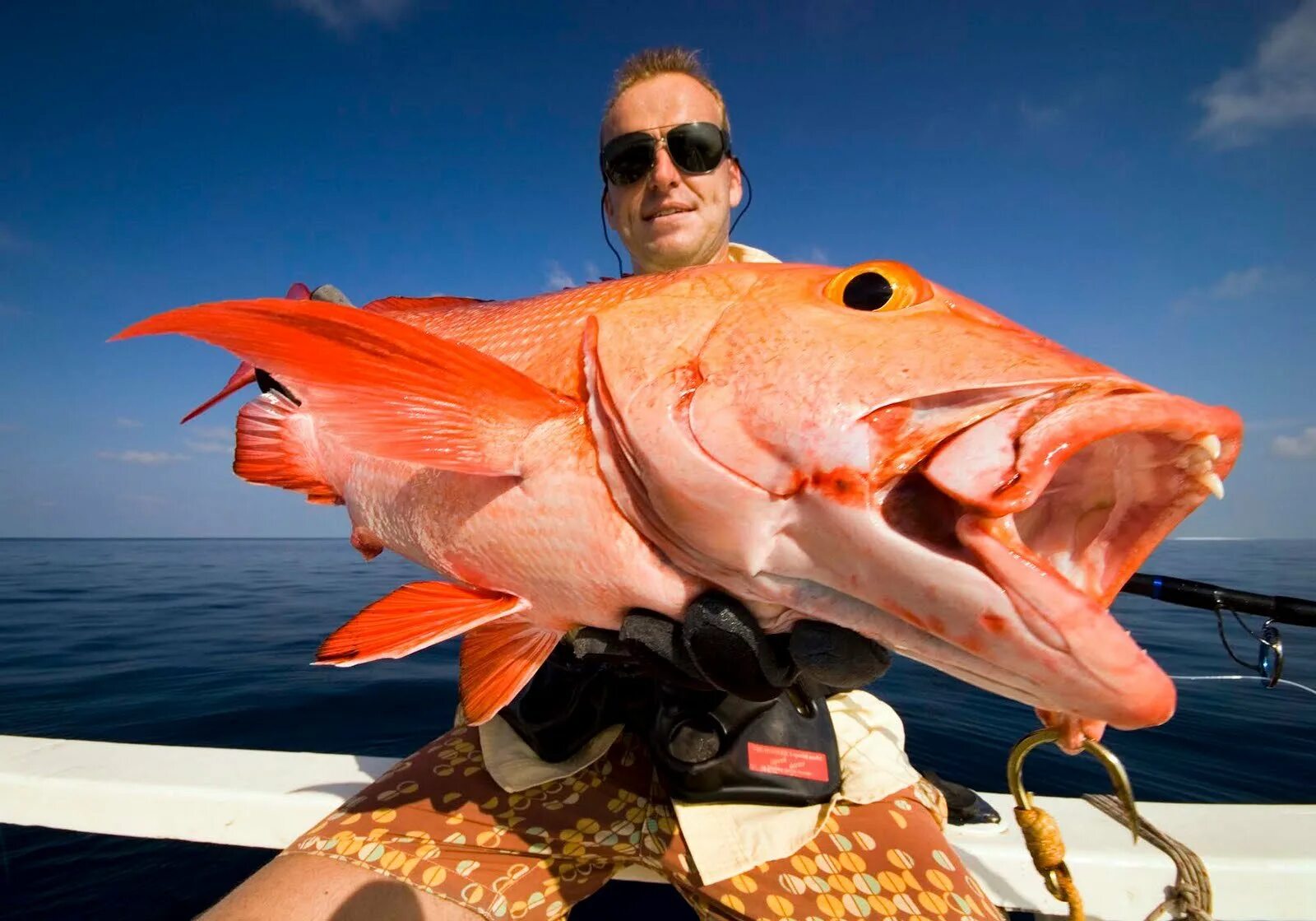 Рыбы на завтра мужчина. Red Snapper большая рыба. Красивые большие рыбы. Рыбы на Мальдивах. Огромная морская рыба.