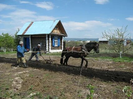 Традиционные занятия башкир