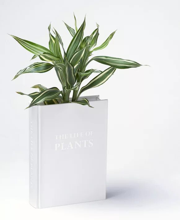 ваза книга. книжки в горшках для цветов. подставка из гипса. ветки в бутылке. печать книги на заказ.