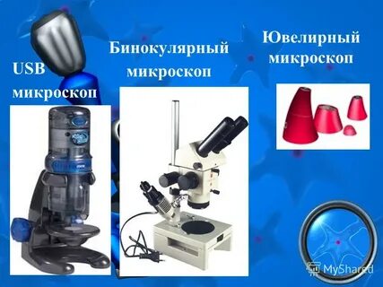 Увеличительные приборы презентация