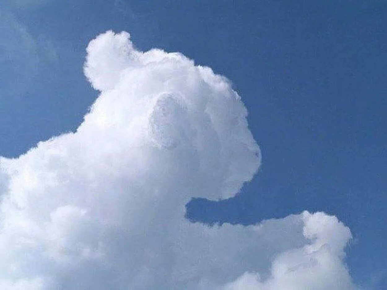Облака причудливой формы. Облака похожие на животных. Облака интересной формы. Причудливые облака в небе.