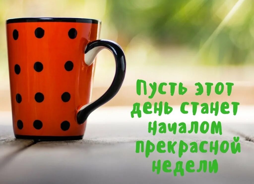 Доброе утро позитивные пожелания. Позитивного дня и хорошего настроения. Позитивные пожелания. Продуктивного дня и хорошего настроения. Позитивного настроения и удачного дня.