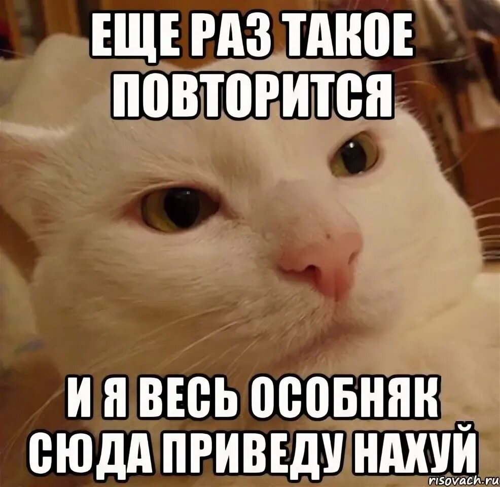 Скачать Bar Tab APK для Android