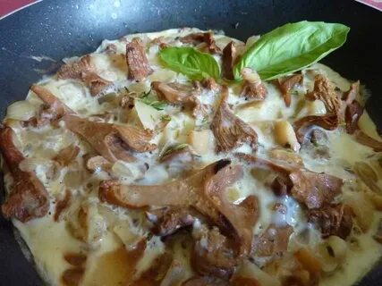 Лисички с яйцом