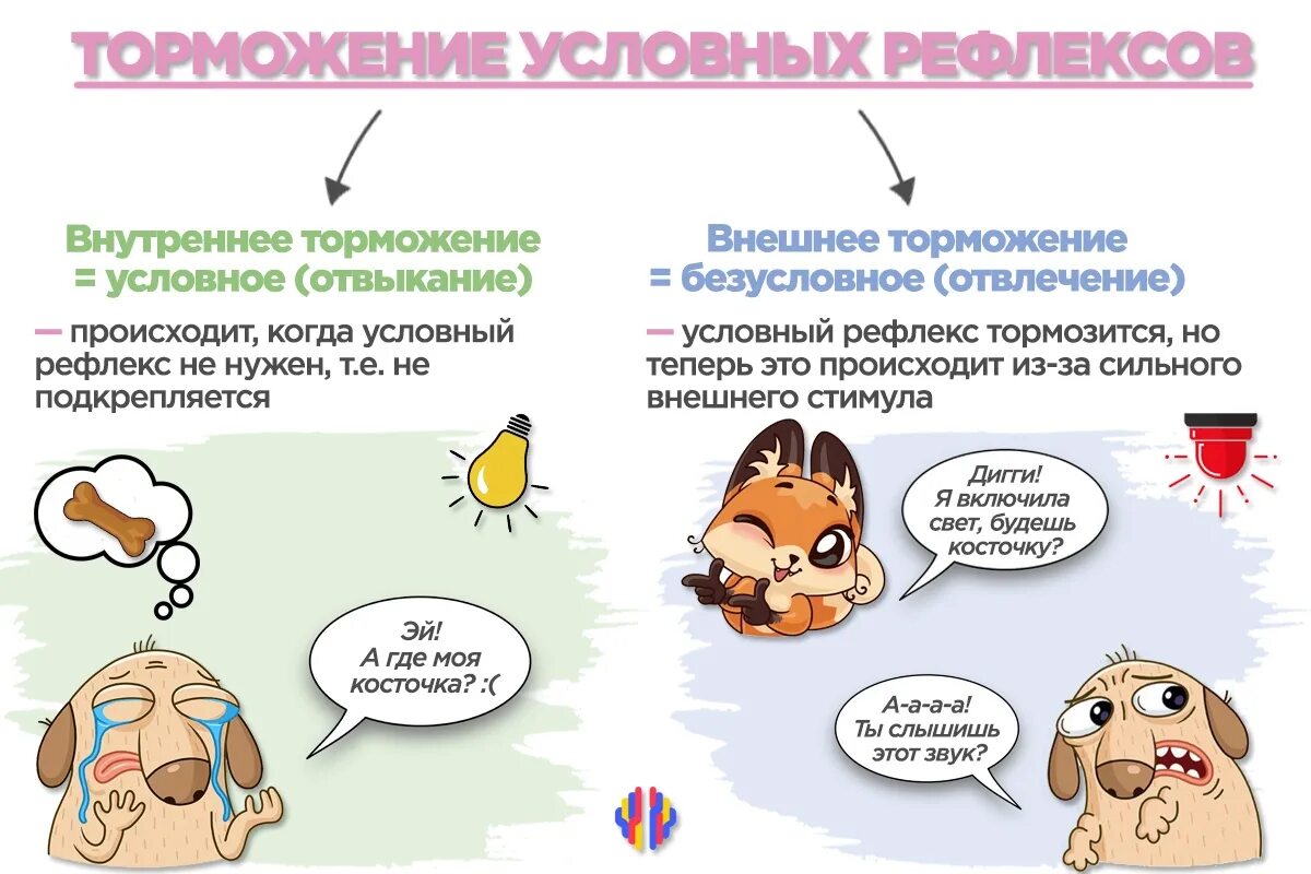 Безусловное внешнее торможение и условное внутреннее торможение. Внешнее и внутреннее торможение условных рефлексов. Внешнее торможение примеры. Внутреннее торможение примеры.