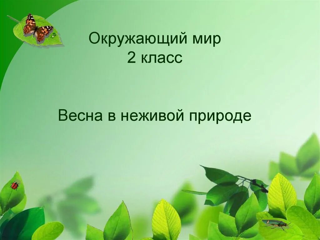 Математика язык природы. Урок окружающий мир. Презентация по окружающему миру.