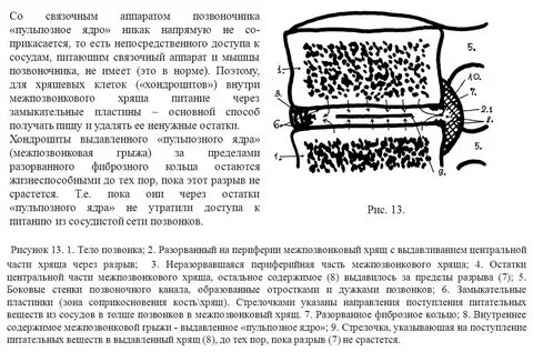 Питание хряща