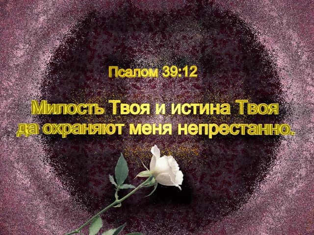 Божья милость манхва. Божья милость читать. Милость божья. Сила чистоты. Божья милость читать.