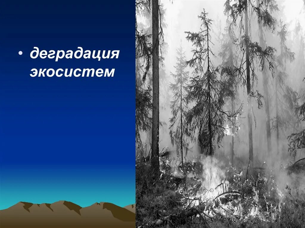 Деградация экологических систем. Деградация экологических систем. Деградация экологических систем. Антропогенные изменения. Проблема деградации глобальной экологической системы причины.