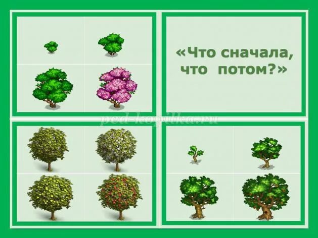 Конспект занятия деревья и кустарники. Деревья для дошкольников. деревья и кустарники для детей. кустарники для дошкольников. карточки деревья и кустарники для детей.