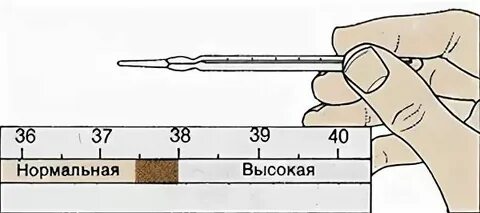 Сколько минут надо мерить ртутный градусник