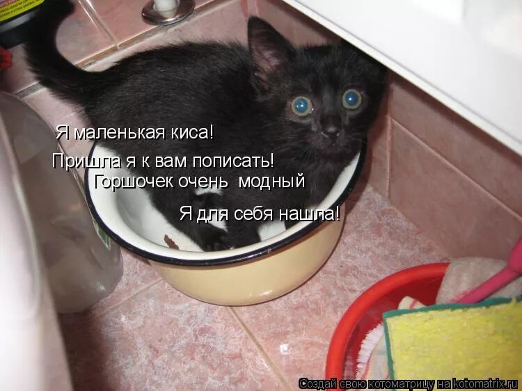 Пришел пописать