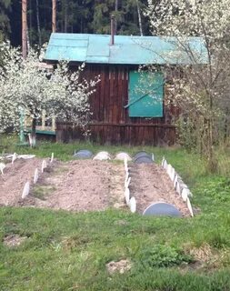 Участки королев