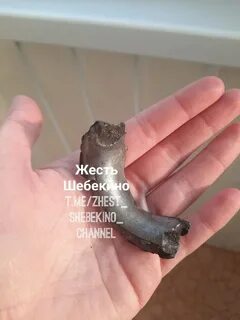 Жесть шебекино телеграм канал