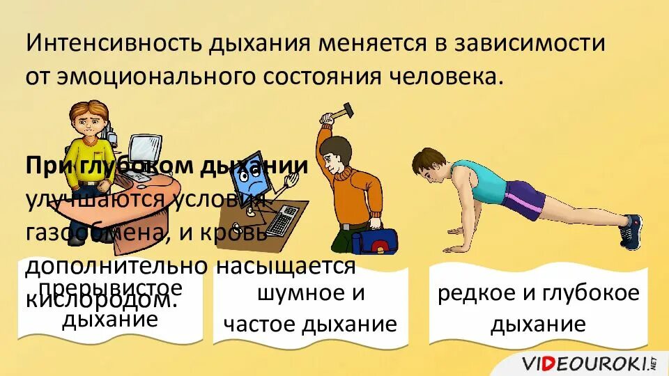 От чего зависит интенсивность дыхания. Интенсивность дыхания человека. прерывистое дыхание. интенсивность дыхания человека зависит от. от чего зависит интенсивность дыхания человека.