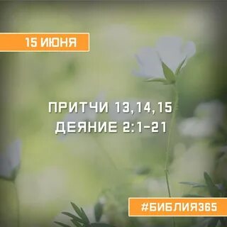 Притчи 13