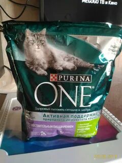 Корм влажный для котят purina