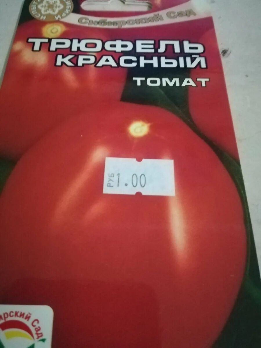 Сорт томата топ модель. Помидоры красавчик. томат патрон. помидоры трюфель красный. томат супермодель.