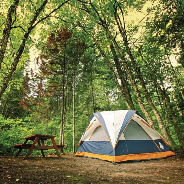Палатка в лесу. Outside camp. Форест лейк глэмпинг. Кемпинг. Палатка camp tenda twin.