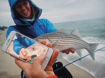 Enjoy fishing