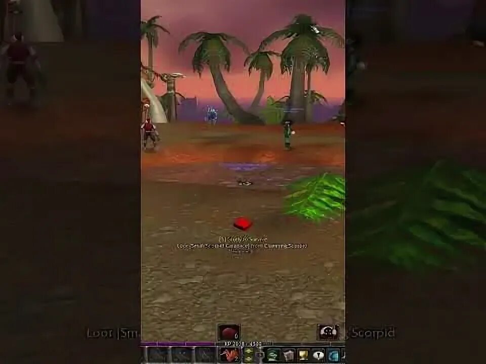 Лучшие сервера wow 2025. Everlook wow. фералас вов 3.3.5. everlook wow classic. картель фералас.