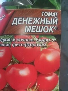 Томат денежный мешок фото