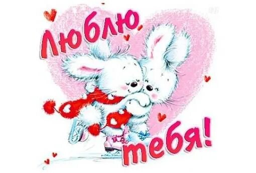 Самбука зая люблю тебя. Люблю тебя зайка. зайчик я тебя люблю. любимому зайчику. любимая зайка.