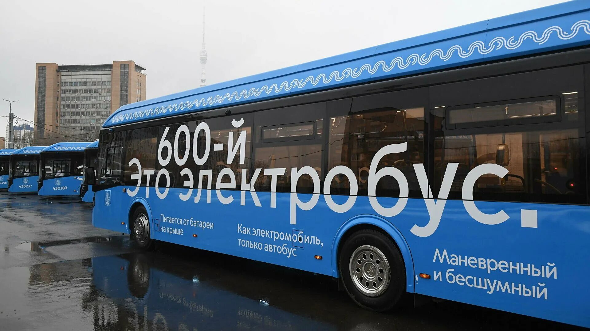 Сколько электробусов в москве. Электробус транспорт Москва. Автобус на водороде. Новые электробусы в Москве. Электробус Москва новый год.
