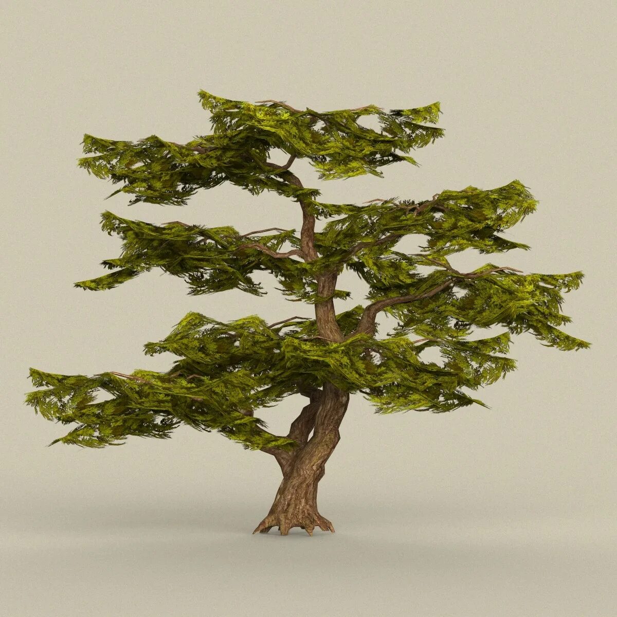 Max tree