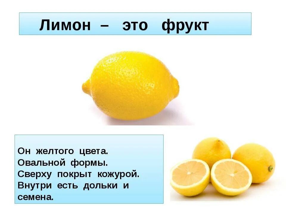 Описание лимона. Лимон для презентации. Факты о лимоне. Описать лимон.