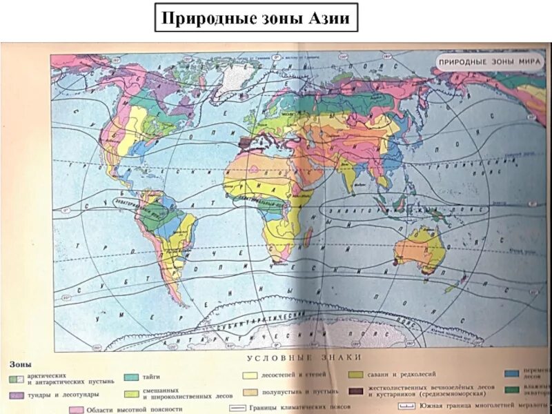 Географическая карта с природными зонами