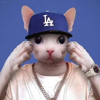 Gojo cat piece
