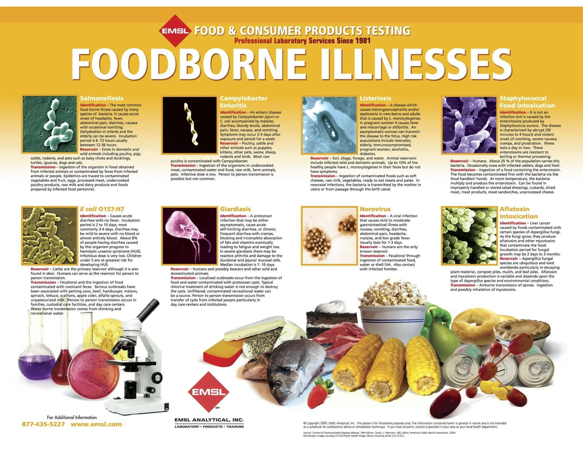 Food born. Food born. Foodborne diseases. Foodborne diseases. Foodborne illness.