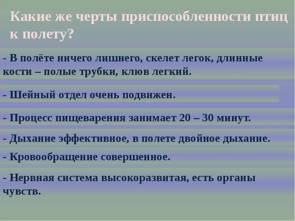 Особенности строения птиц черты приспособленности к полету. Черты приспособленности насекомых к полёту. Черты приспособления птиц. Черты приспособленности птиц к полету. Черты приспособлинности к пол.