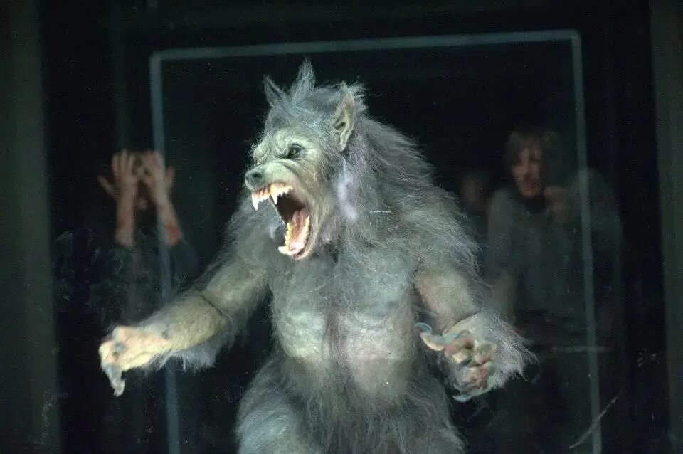 Как выглядят оборотни в жизни "Доктор Кто" Tooth and Claw (TV Episode 2006) Spencer Hawken as Monk IMDb