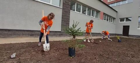 Песню школе во дворе