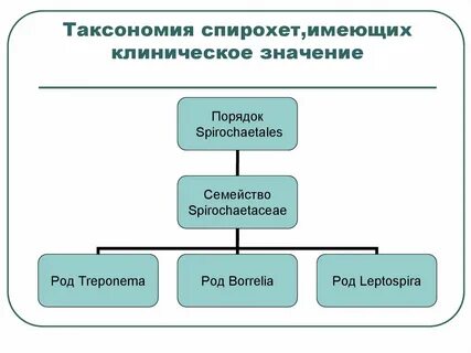 Технологической таксономии